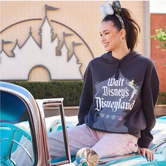 Walt  Disneyland hundred anniversary hoodie Size medium - Picture 1 of 9